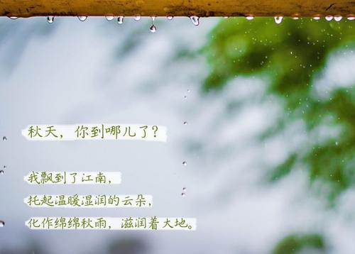 “无晴”阴雨天 “有晴”除湿机