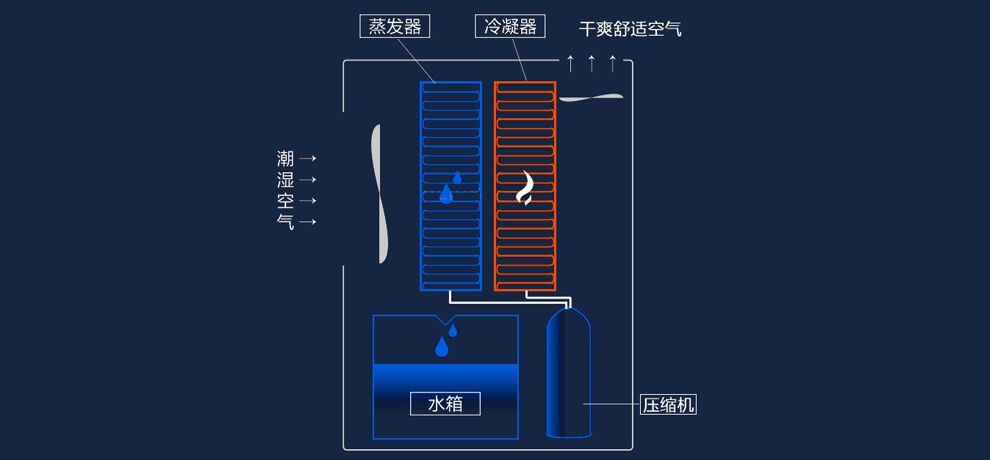 除湿机的构成及原理