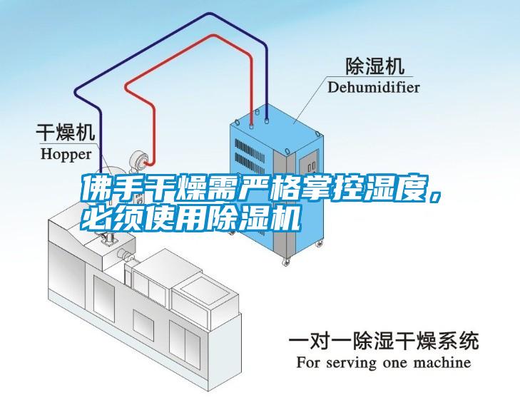 佛手干燥需严格掌控湿度，必须使用除湿机