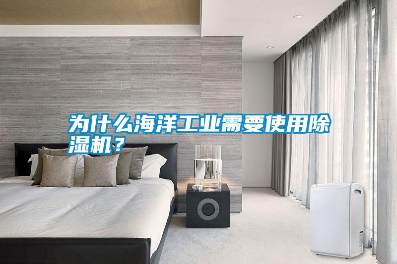 为什么海洋工业需要使用除湿机？