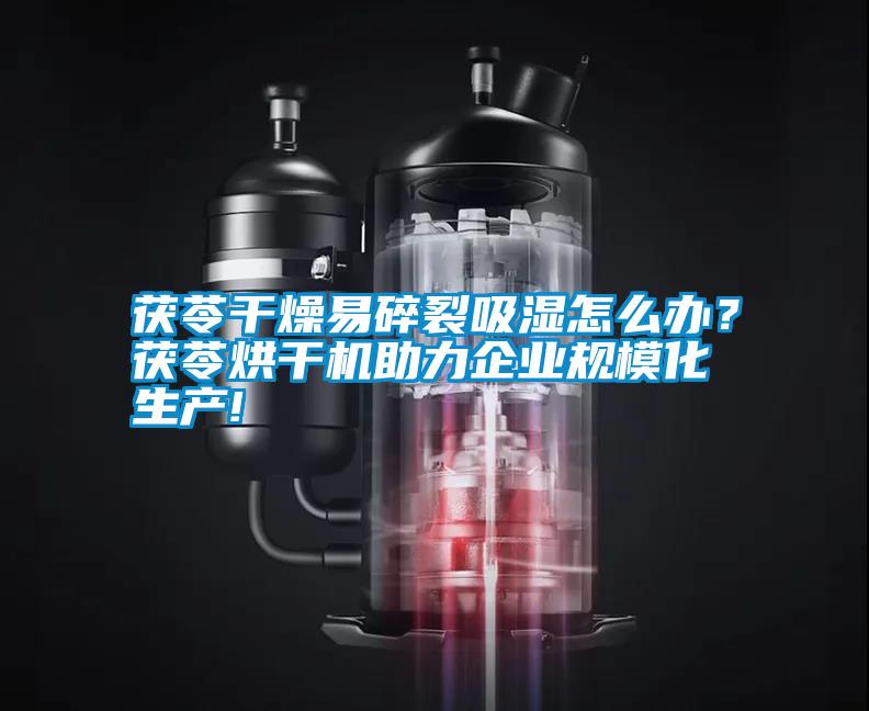 茯苓干燥易碎裂吸湿怎么办？茯苓烘干机助力企业规模化生产!