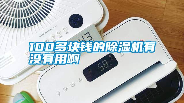 100多块钱的除湿机有没有用啊