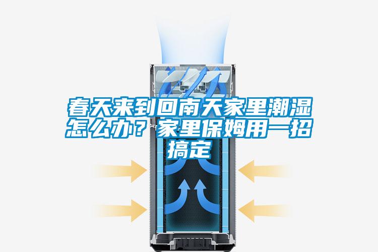 春天来到回南天家里潮湿怎么办？家里保姆用一招搞定