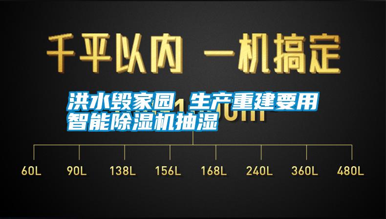 洪水毁家园 生产重建要用智能除湿机抽湿