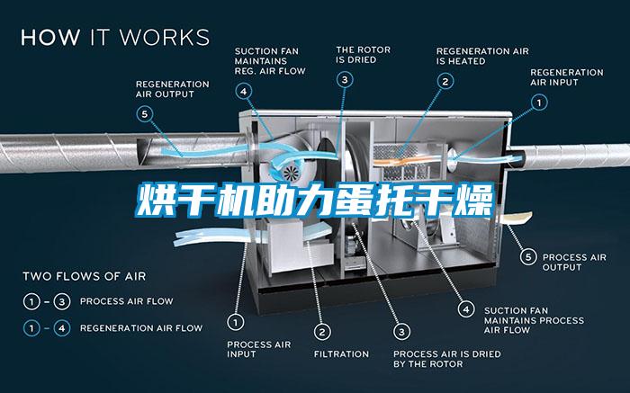 烘干机助力蛋托干燥