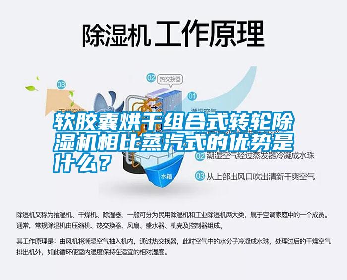 软胶囊烘干组合式转轮除湿机相比蒸汽式的优势是什么？