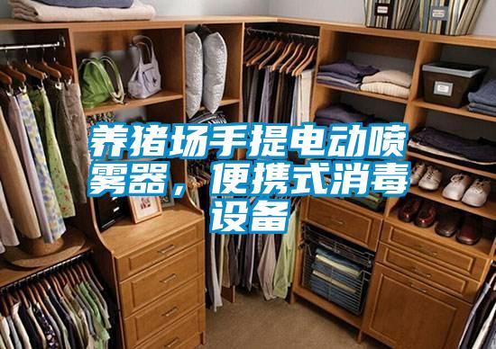 养猪场手提电动喷雾器，便携式消毒设备