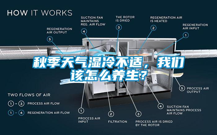 秋季天气湿冷不适，我们该怎么养生？