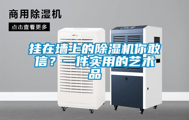 挂在墙上的除湿机你敢信？一件实用的艺术品