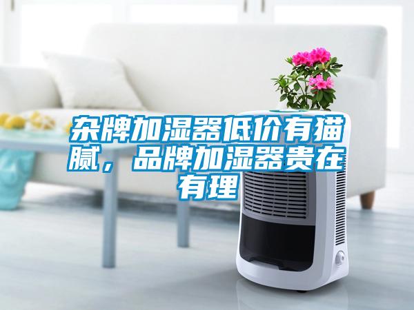 杂牌加湿器低价有猫腻，品牌加湿器贵在有理