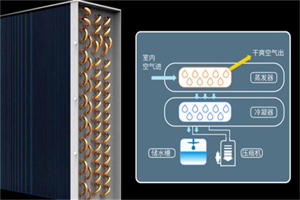 档案防潮用什么