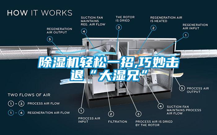 除湿机轻松一招,巧妙击退“大湿兄”