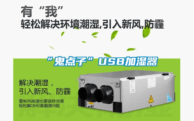 “鬼点子”USB加湿器