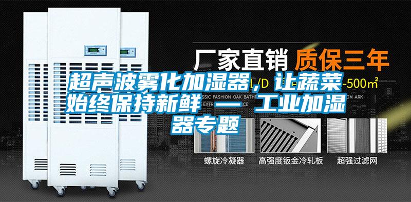 超声波雾化加湿器，让蔬菜始终保持新鲜 — 工业加湿器专题