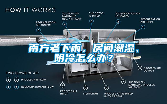 南方老下雨，房间潮湿、阴冷怎么办？