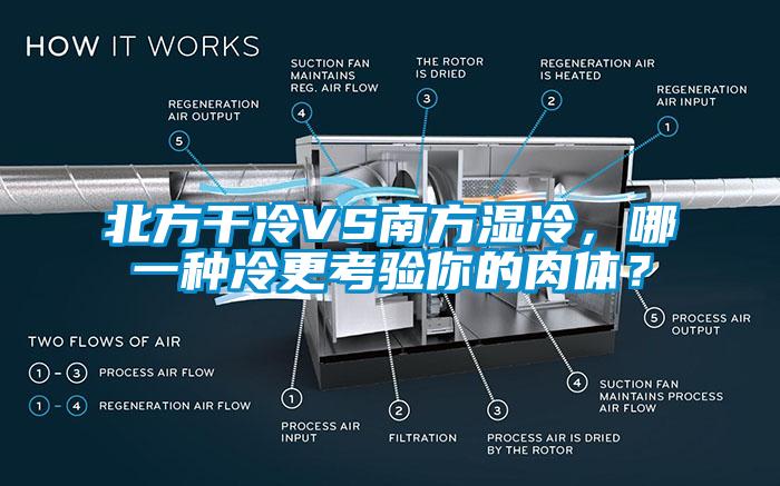 北方干冷VS南方湿冷，哪一种冷更考验你的肉体？