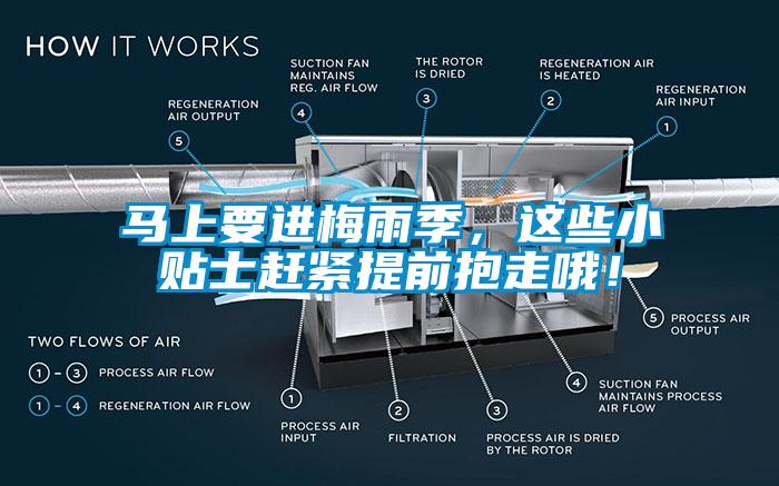 马上要进梅雨季，这些小贴士赶紧提前抱走哦！