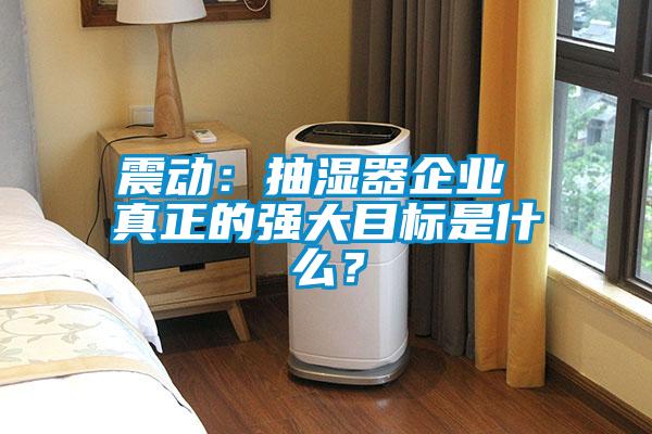 震动：抽湿器企业 真正的强大目标是什么？