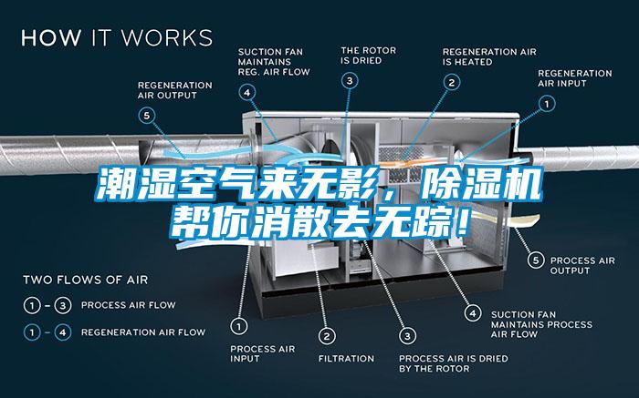 潮湿空气来无影，除湿机帮你消散去无踪！