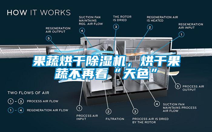 果蔬烘干除湿机，烘干果蔬不再看“天色”