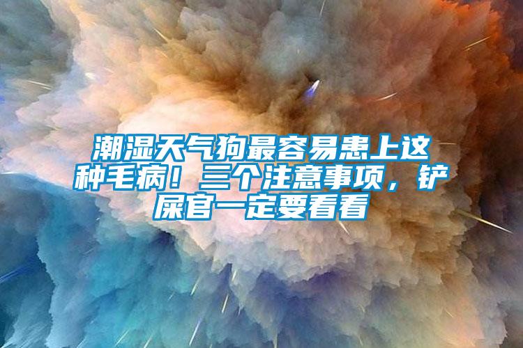 潮湿天气狗最容易患上这种毛病！三个注意事项，铲屎官一定要看看