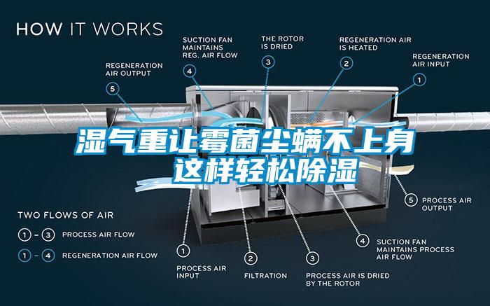 湿气重让霉菌尘螨不上身  这样轻松除湿