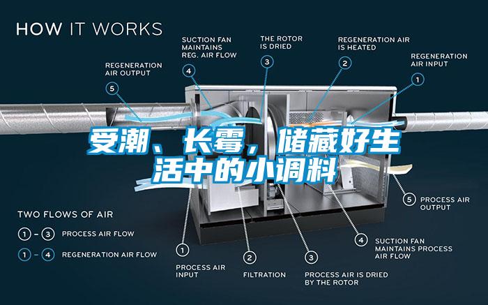 受潮、长霉，储藏好生活中的小调料