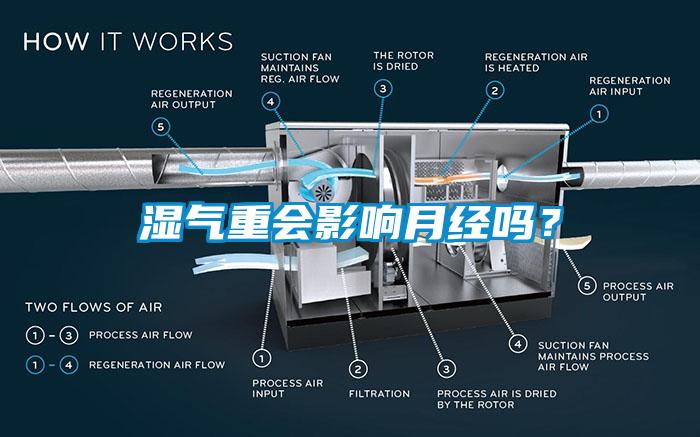 湿气重会影响月经吗？