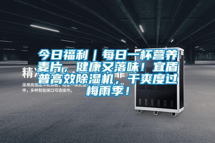 今日福利｜每日一杯营养麦片，健康又落味！宜盾普高效除湿机，干爽度过梅雨季！