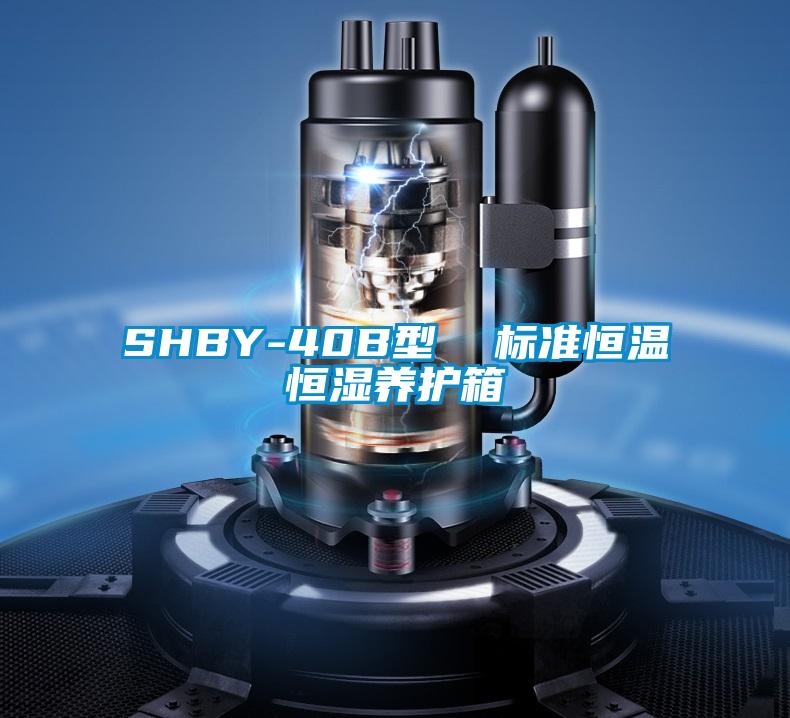 SHBY-40B型  标准恒温恒湿养护箱