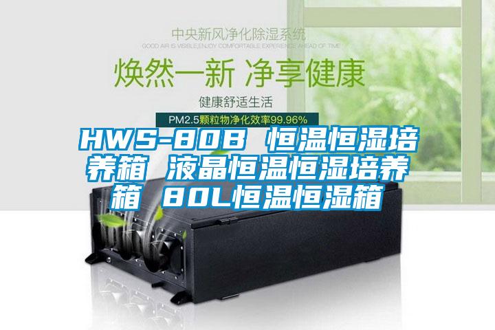 HWS-80B 恒温恒湿培养箱 液晶恒温恒湿培养箱 80L恒温恒湿箱