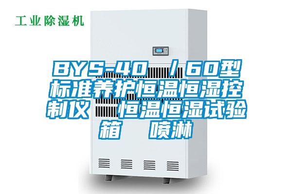 BYS-40 ／60型标准养护恒温恒湿控制仪  恒温恒湿试验箱  喷淋