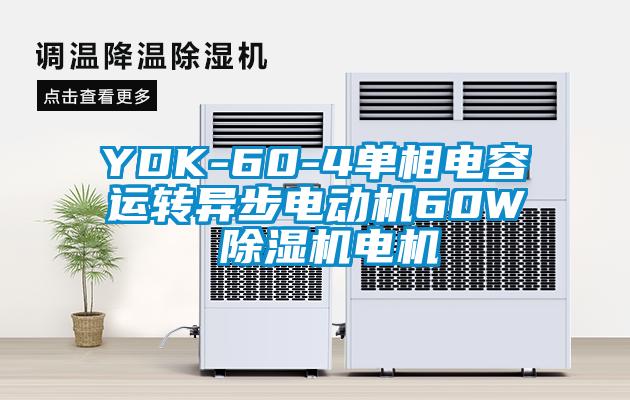 YDK-60-4单相电容运转异步电动机60W 除湿机电机