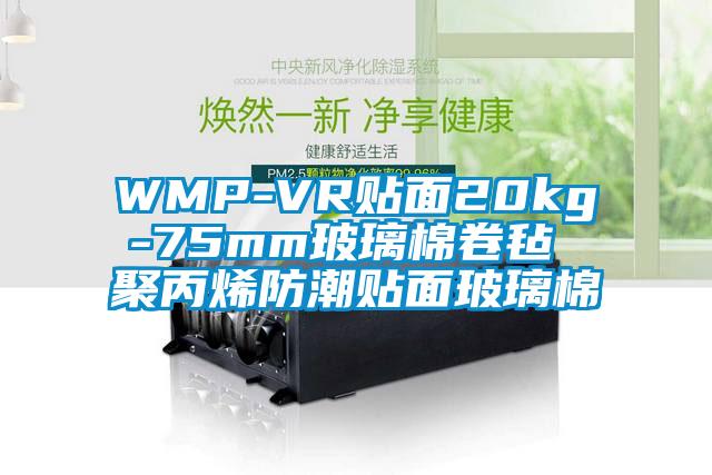 WMP-VR贴面20kg-75mm玻璃棉卷毡 聚丙烯防潮贴面玻璃棉