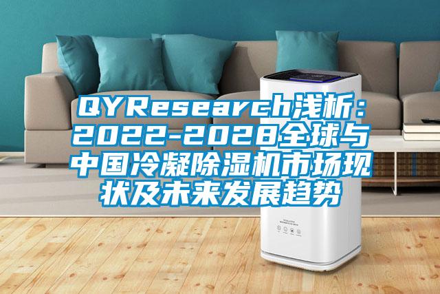 QYResearch浅析：2022-2028全球与中国冷凝除湿机市场现状及未来发展趋势