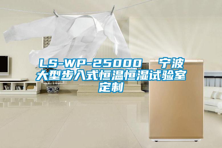 LS-WP-25000  宁波大型步入式恒温恒湿试验室定制