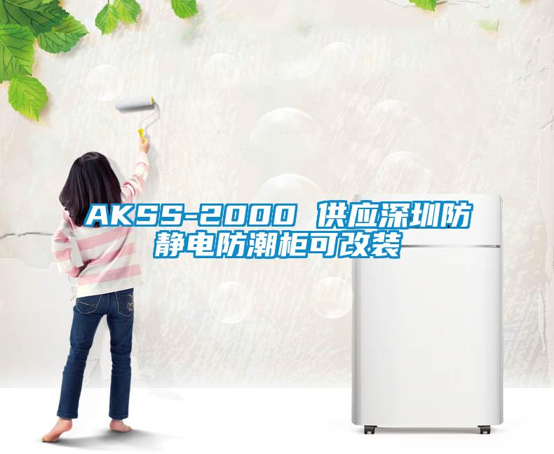 AKSS-2000 供应深圳防静电防潮柜可改装