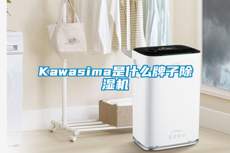 Kawasima是什么牌子除湿机