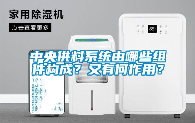 中央供料系统由哪些组件构成？又有何作用？