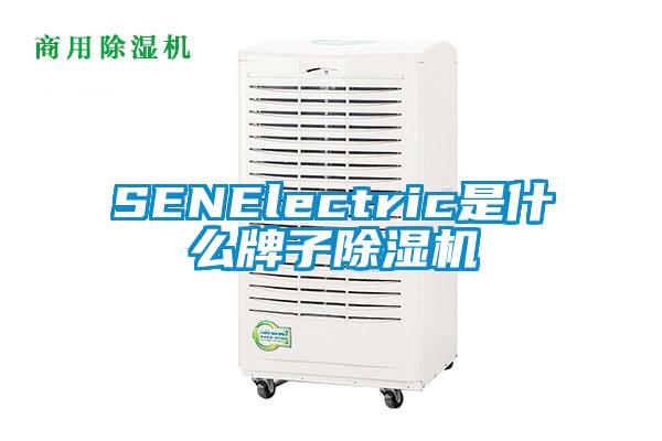 SENElectric是什么牌子除湿机