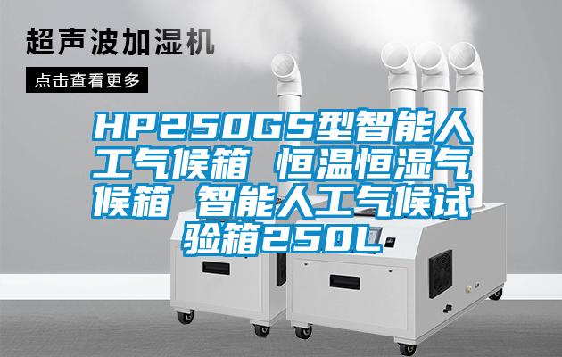 HP250GS型智能人工气候箱 恒温恒湿气候箱 智能人工气候试验箱250L