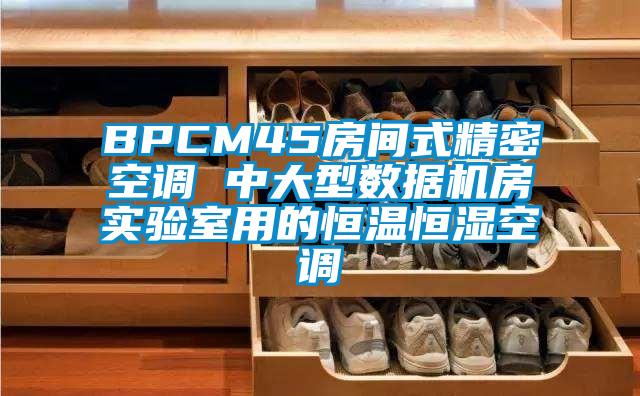 BPCM45房间式精密空调 中大型数据机房实验室用的恒温恒湿空调