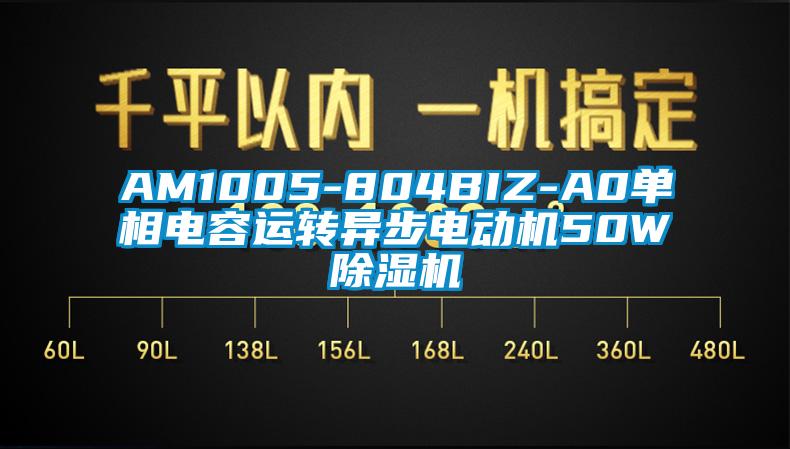 AM1005-804BIZ-A0单相电容运转异步电动机50W除湿机