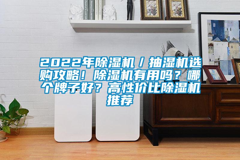 2022年除湿机／抽湿机选购攻略！除湿机有用吗？哪个牌子好？高性价比除湿机推荐