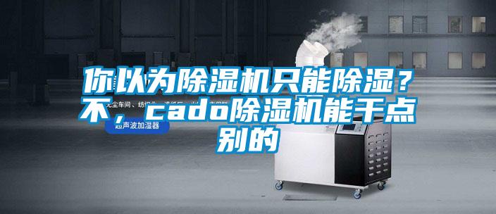 你以为除湿机只能除湿？不，cado除湿机能干点别的