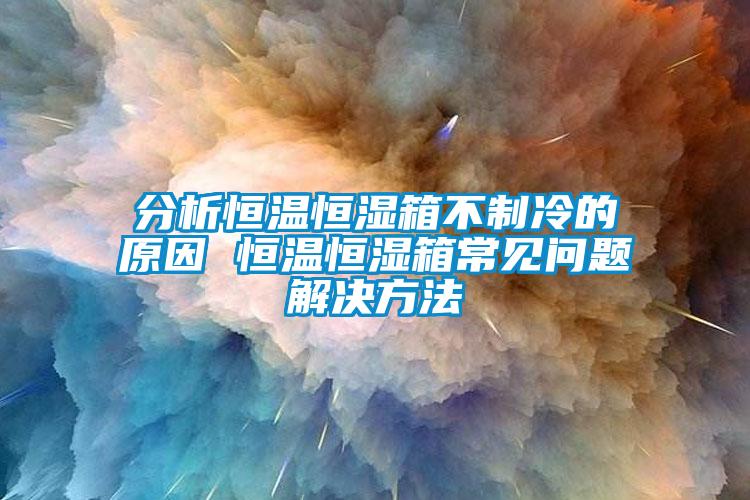 分析恒温恒湿箱不制冷的原因 恒温恒湿箱常见问题解决方法