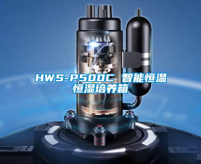 HWS-P500C 智能恒温恒湿培养箱