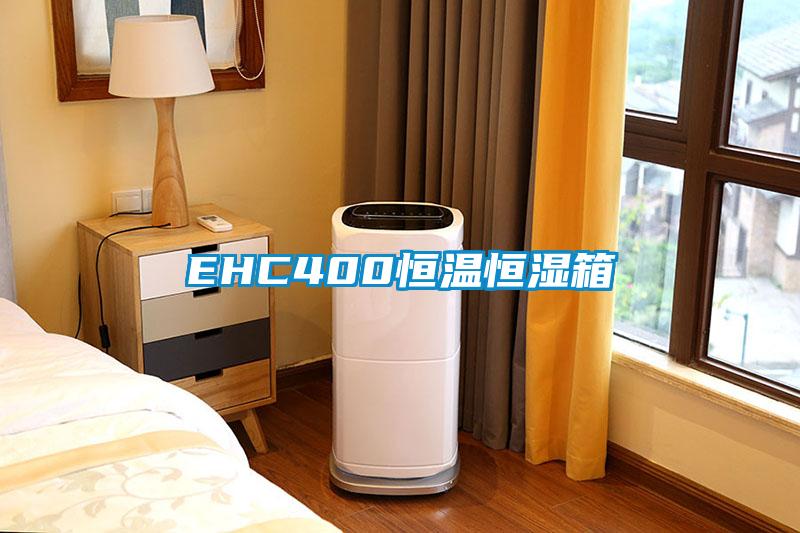 EHC400恒温恒湿箱