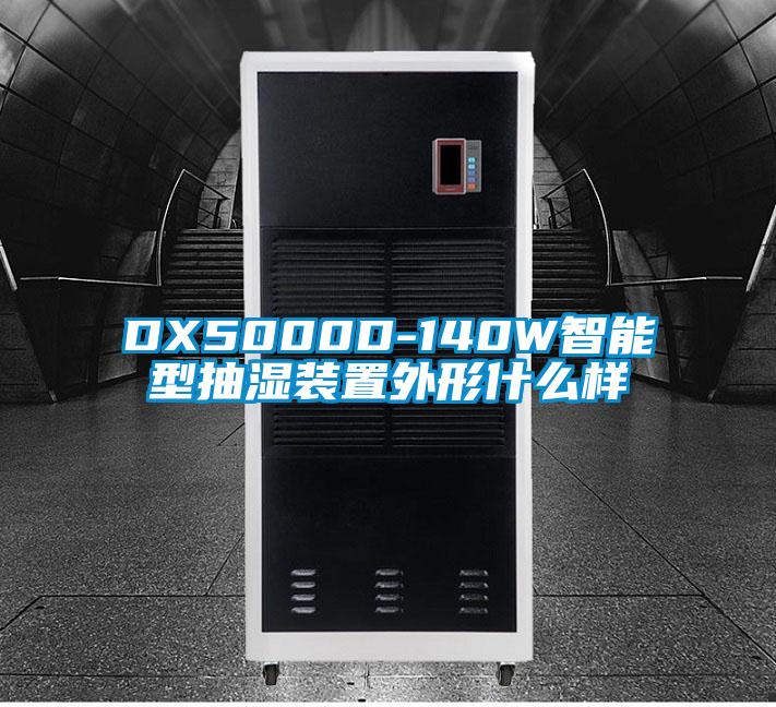 DX5000D-140W智能型抽湿装置外形什么样