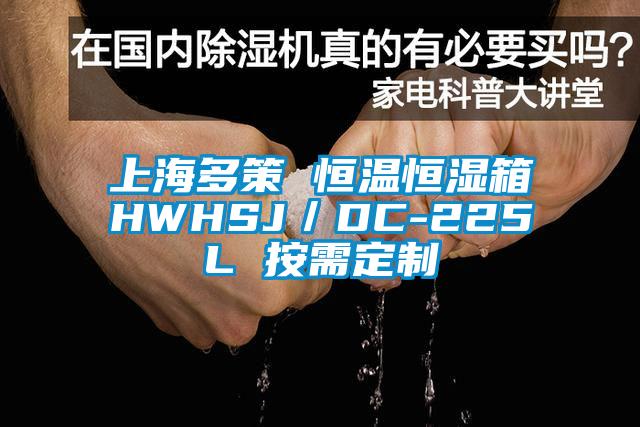 上海多策 恒温恒湿箱HWHSJ／DC-225L 按需定制